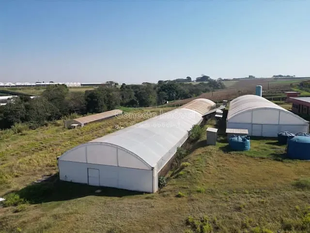 Sítio com 20662m², à venda, no bairro Fundão em Holambra