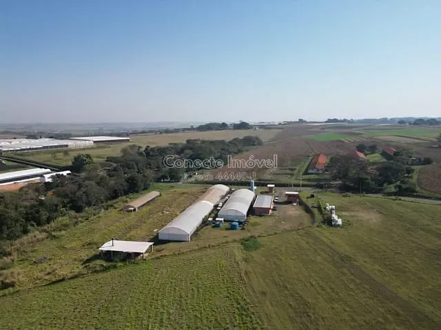Sítio com 20662m², à venda, no bairro Fundão em Holambra