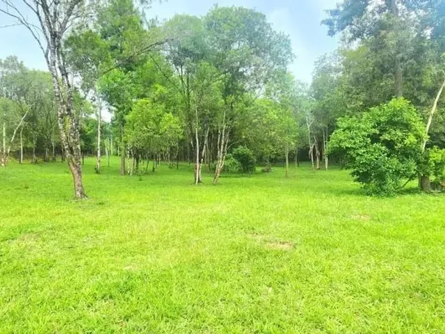 Sítio à venda, no bairro Zona Rural em Campo Largo