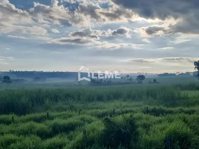 Sítio com 508200m², à venda, no bairro Vila Lambari em Mococa
