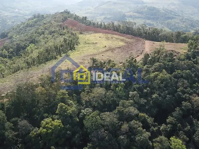 Sítio com 84214m², à venda, no bairro Linha Esperança em Itá