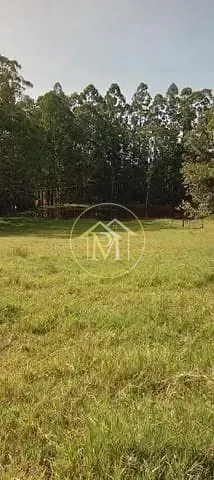 Chácara, 5 quartos, 3 hectares - Foto 17