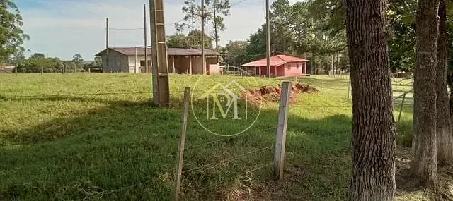 Chácara, 5 quartos, 3 hectares - Foto 19
