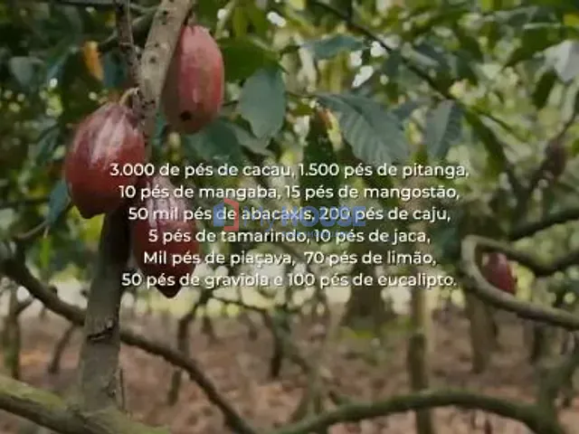 Sítio com 260000m² 4 quartos e 3 banheiros, à venda, no bairro Barcelos  em Maraú
