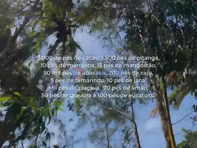 Sítio com 260000m² 4 quartos e 3 banheiros, à venda, no bairro Barcelos  em Maraú