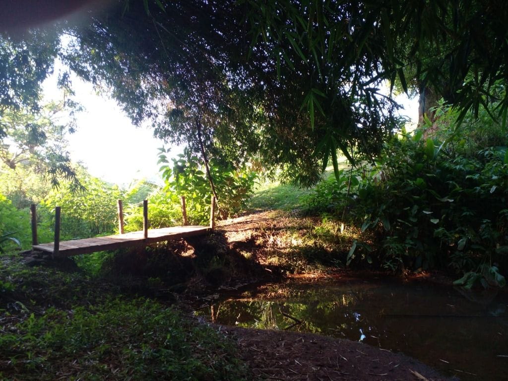 Rural / Chácara no Área Rural de Itajubá — foto 40