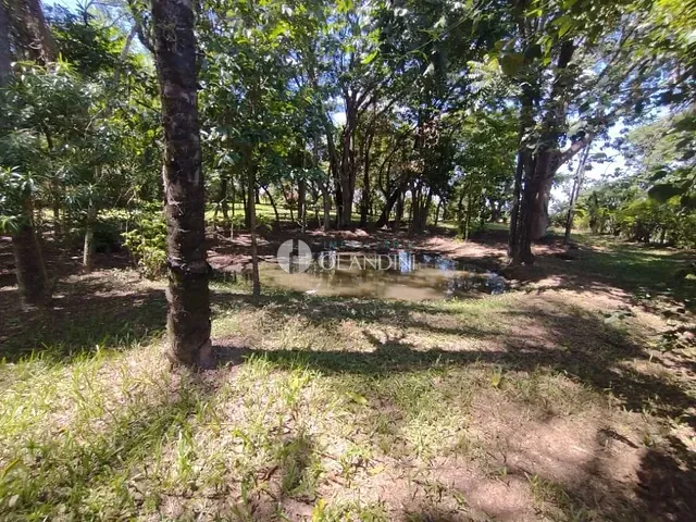 Sítio com 24200m² 3 quartos e 1 banheiro, à venda, no bairro Área Rural de Artur Nogueira em Artur Nogueira