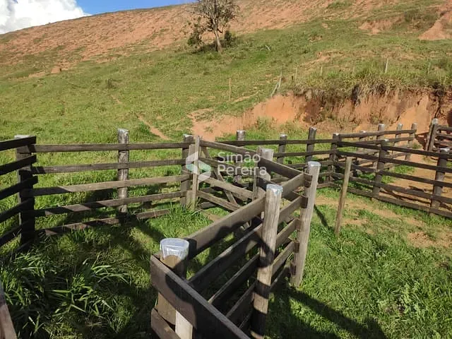 Sítio com 37000m² 3 quartos e 2 banheiros, à venda, no bairro Pequeri em Pequeri