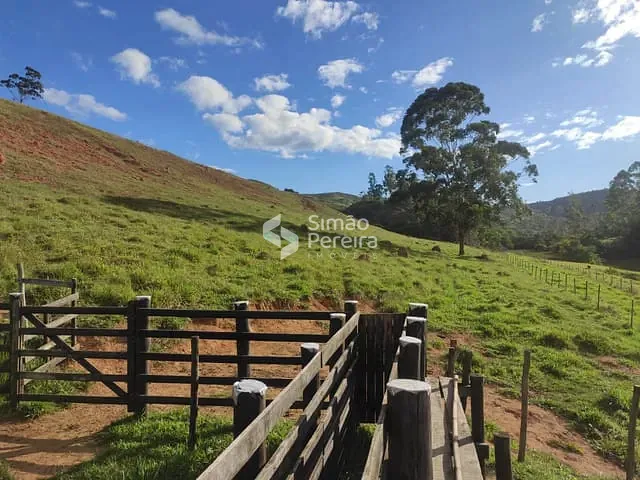 Sítio com 37000m² 3 quartos e 2 banheiros, à venda, no bairro Pequeri em Pequeri