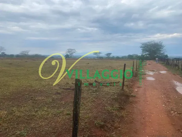 Sítio com 176907m², à venda, no bairro Fazenda São Pedro (Zona Rural) em São José do Rio Preto