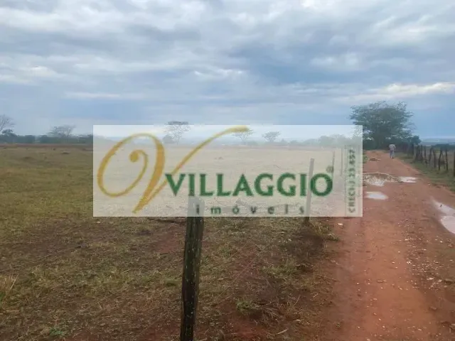 Sítio com 176907m², à venda, no bairro Fazenda São Pedro (Zona Rural) em São José do Rio Preto