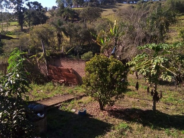 Sítio com 4700m², à venda, no bairro Nunes de Baixo em Cambuí
