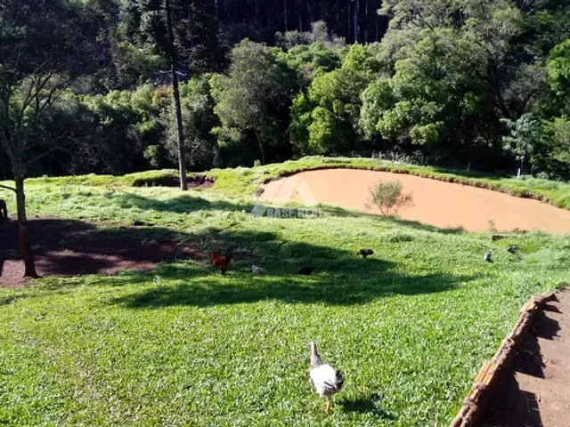 Sítio com 600m² 2 quartos e 1 banheiro, à venda, no bairro Faxinal dos Elias em Guarapuava