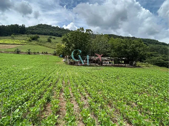 Sítio com 121058m² 3 quartos e 2 banheiros, à venda, no bairro LINHA SALETE em Xanxerê