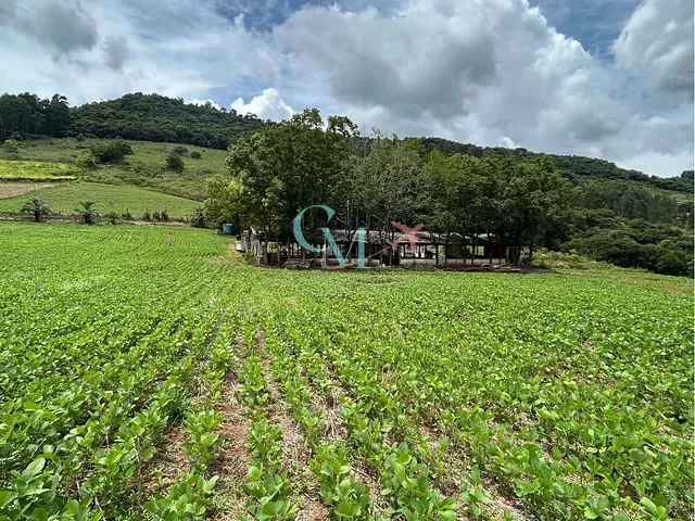 Sítio com 121058m² 3 quartos e 2 banheiros, à venda, no bairro LINHA SALETE em Xanxerê