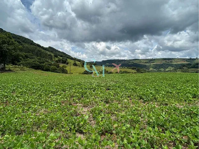 Sítio com 121058m² 3 quartos e 2 banheiros, à venda, no bairro LINHA SALETE em Xanxerê