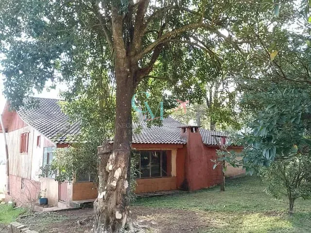 Sítio com 121058m² 3 quartos e 2 banheiros, à venda, no bairro LINHA SALETE em Xanxerê