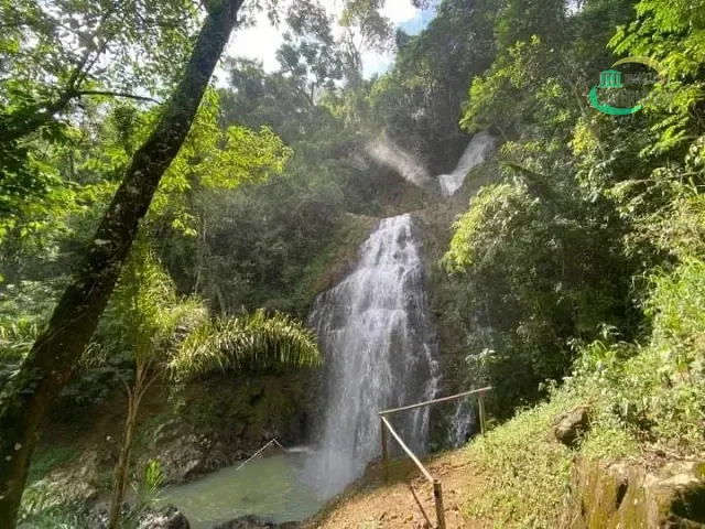 Sítio com 20000m² 4 quartos e 5 banheiros, à venda, no bairro Andradas em Andradas