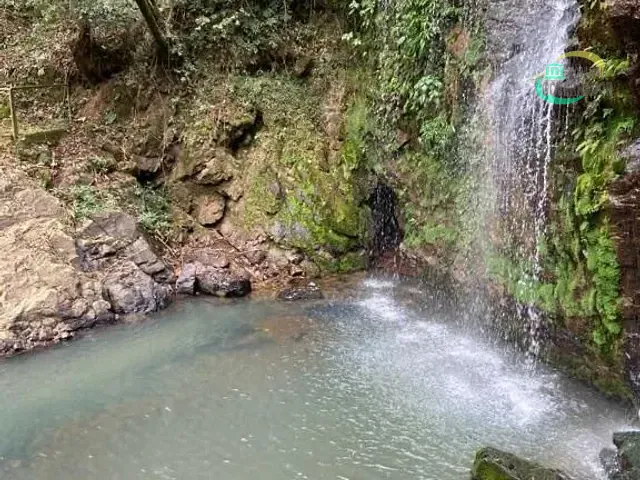 Sítio com 20000m² 4 quartos e 5 banheiros, à venda, no bairro Andradas em Andradas
