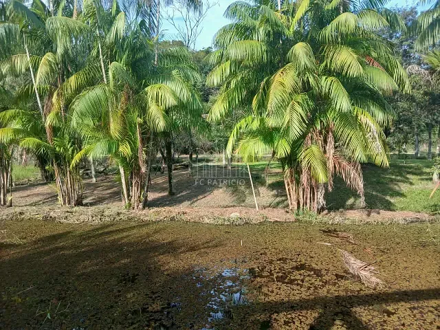 Sítio com 22620m² 4 quartos e 3 banheiros, à venda, no bairro Vale das Pedrinhas em Guapimirim