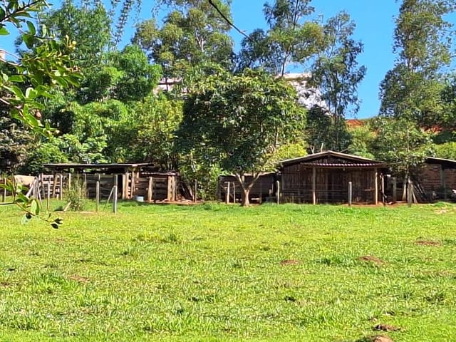Sítio com 34000m² 3 quartos e 2 banheiros, à venda, no bairro Aleluia em Cesário Lange