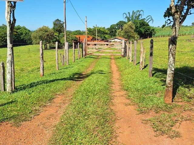Sítio com 34000m² 3 quartos e 2 banheiros, à venda, no bairro Aleluia em Cesário Lange