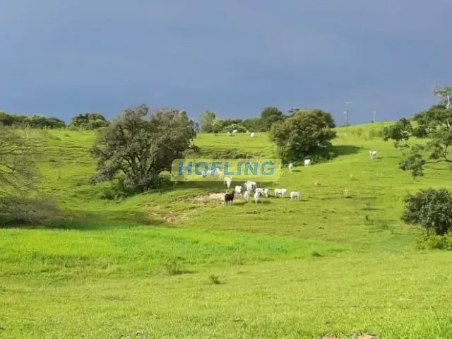 Sítio com 217800m², à venda, no bairro Conjunto Bom Recreio em Rio Claro