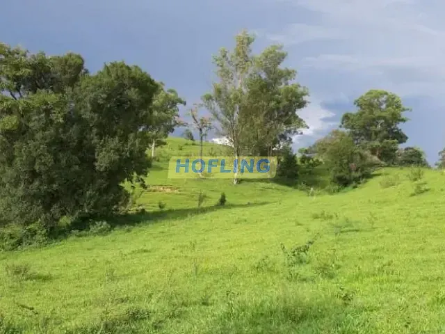 Sítio com 217800m², à venda, no bairro Conjunto Bom Recreio em Rio Claro
