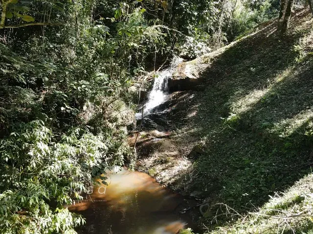 Sítio com 30000m² 5 quartos e 3 banheiros, à venda, no bairro Monte Belo em Santa Rita do Sapucaí