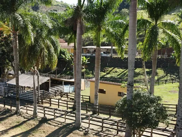 Sítio com 30000m² 5 quartos e 3 banheiros, à venda, no bairro Monte Belo em Santa Rita do Sapucaí