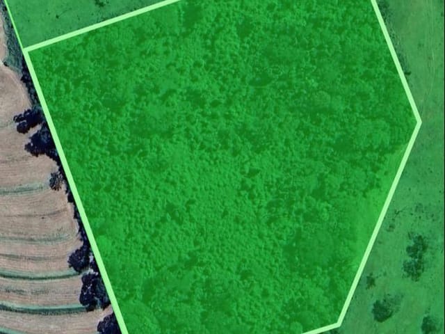Foto do Sítio - Sítio à Venda com acesso há  200 metros do asfalto: 10 alqueires e 1/4. Próximo ao clube Banespinha, Nhandeara-SP. | Imobiliária Na House