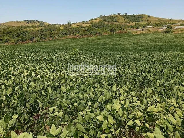 Sítio com 96800m², à venda, no bairro Rural em Uraí