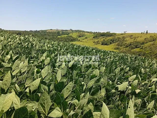 Sítio com 96800m², à venda, no bairro Rural em Uraí