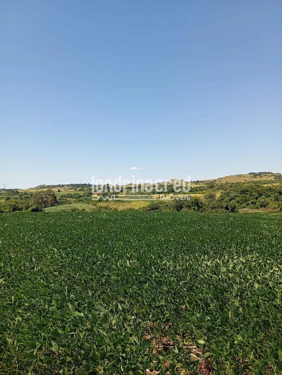 Fazenda, 10 hectares - Foto 8