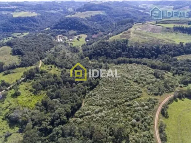 Sítio com 193345m², à venda, no bairro Interior em Lindóia do Sul