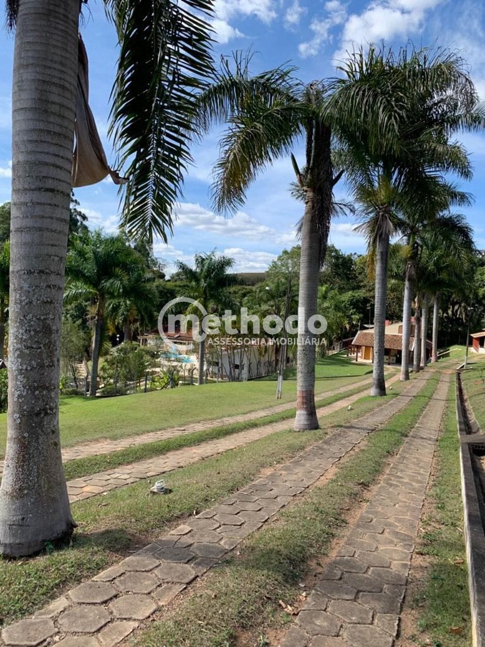 Fazenda, 87 hectares - Foto 33
