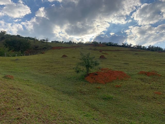 Foto do Sítio - Sítio à venda, 39022 m² por R$ 150.000,00 - Anhumas - Pedralva/MG | MOHALLEM e LOPES CORRETAGEM E ADMINISTRACAO DE IMOVEIS LTDA