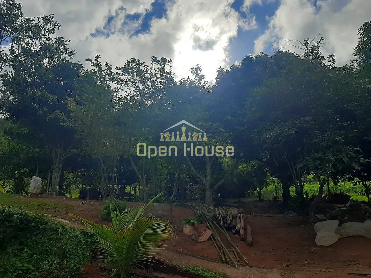 Fazenda, 30 hectares - Foto 19