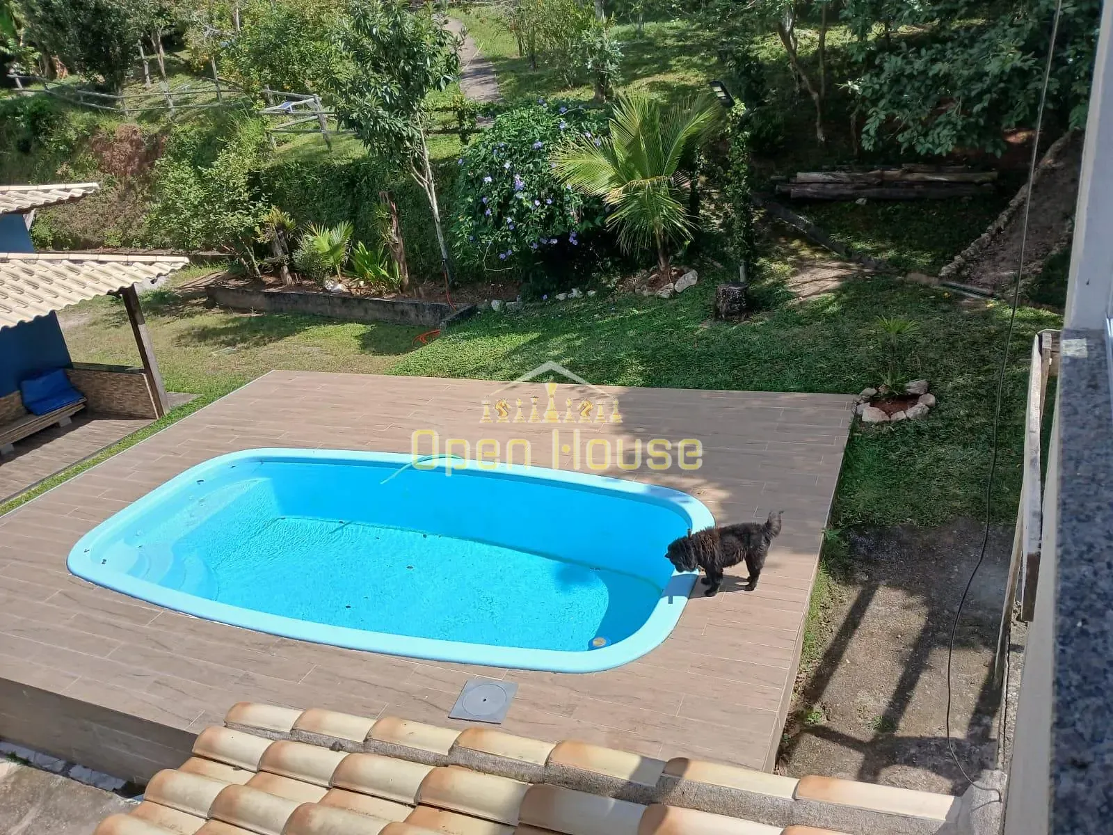 Fazenda, 30 hectares - Foto 3