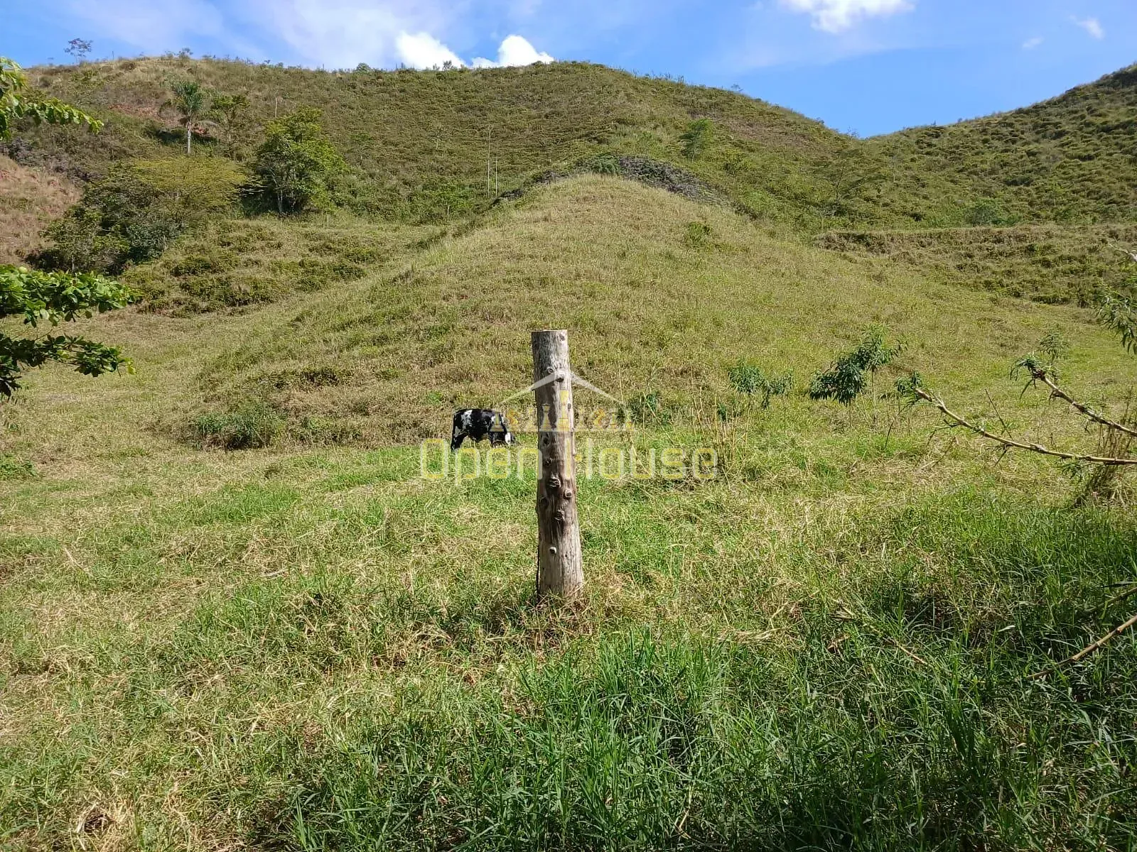 Fazenda, 30 hectares - Foto 9