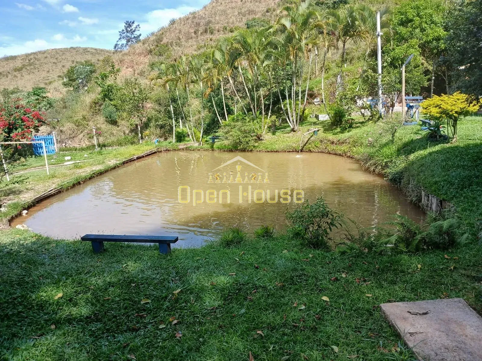 Fazenda, 30 hectares - Foto 8