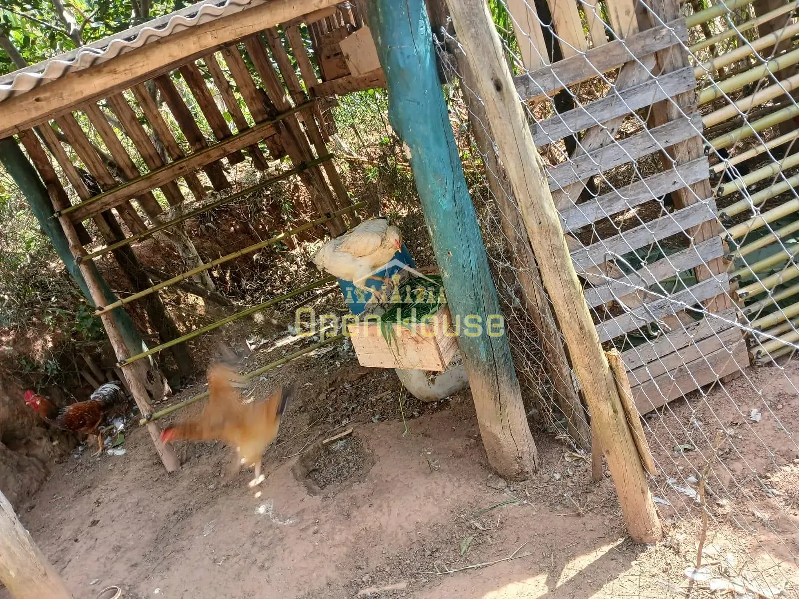 Fazenda, 30 hectares - Foto 44