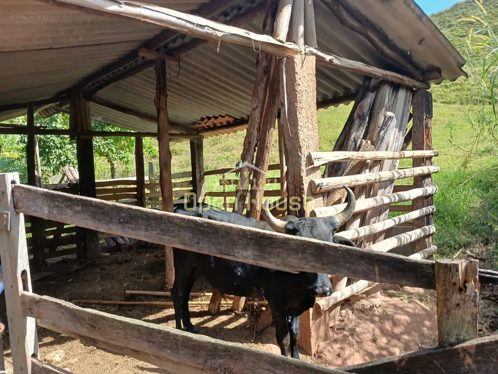 Fazenda, 30 hectares - Foto 45