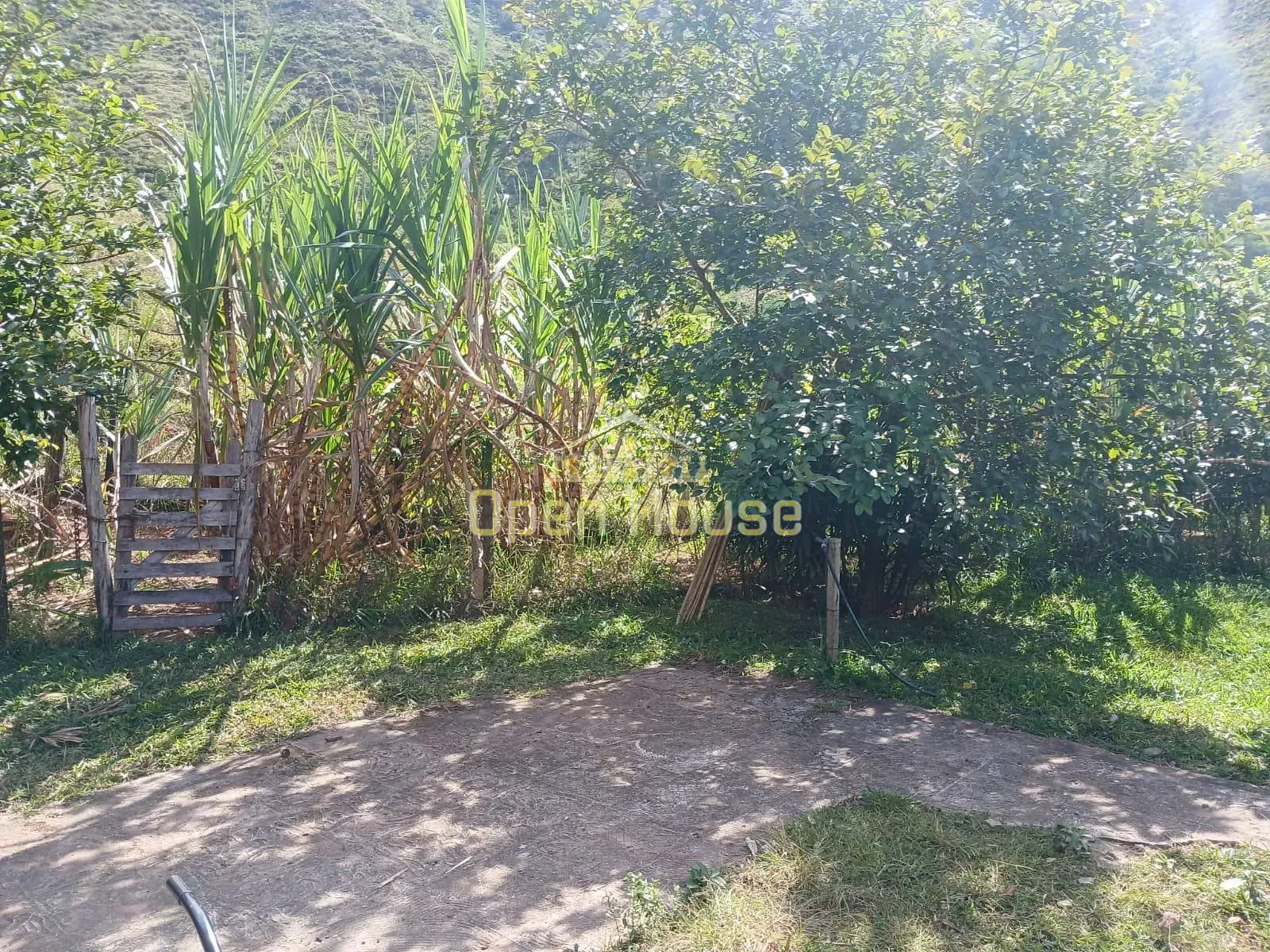 Fazenda, 30 hectares - Foto 65
