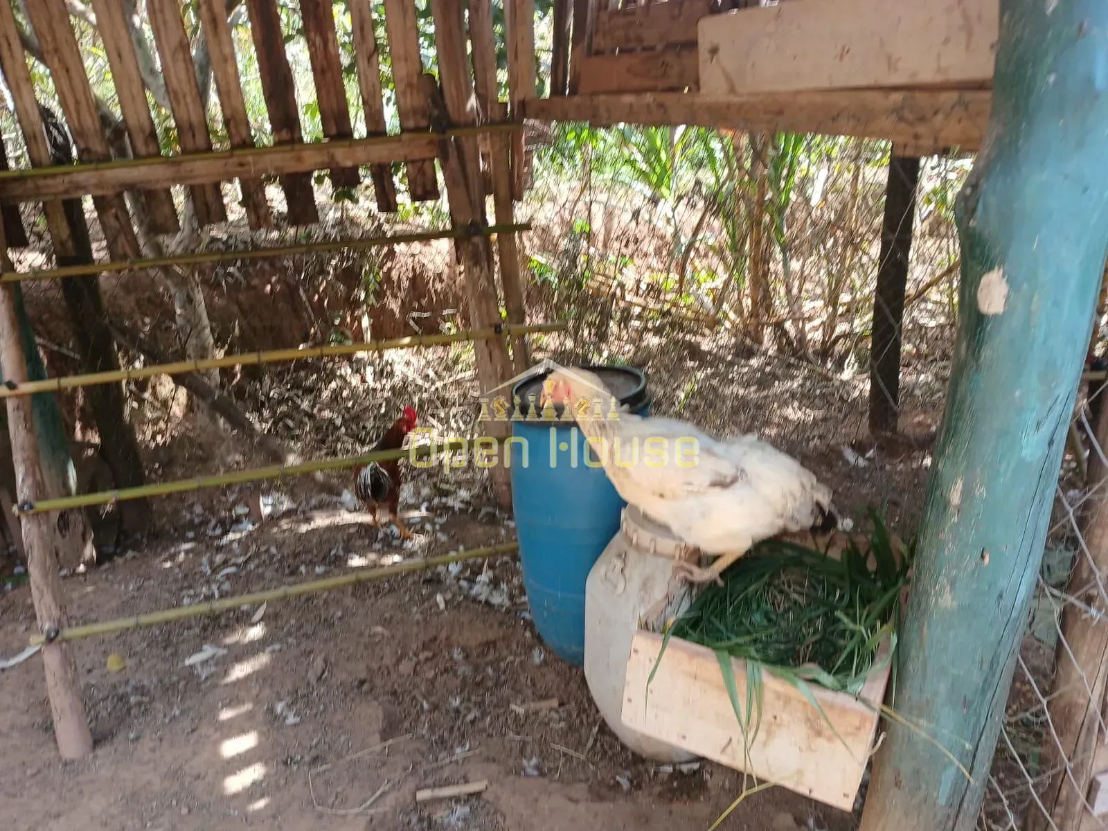 Fazenda, 30 hectares - Foto 66