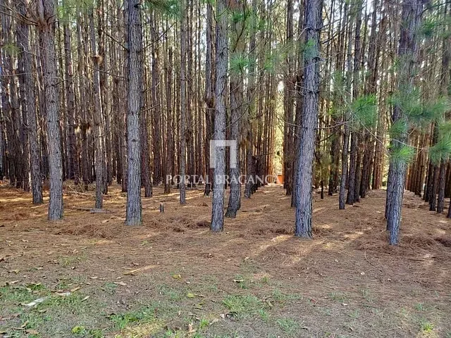 Sítio com 2m² 3 quartos e 3 banheiros, à venda, no bairro Curitibanos em Bragança Paulista