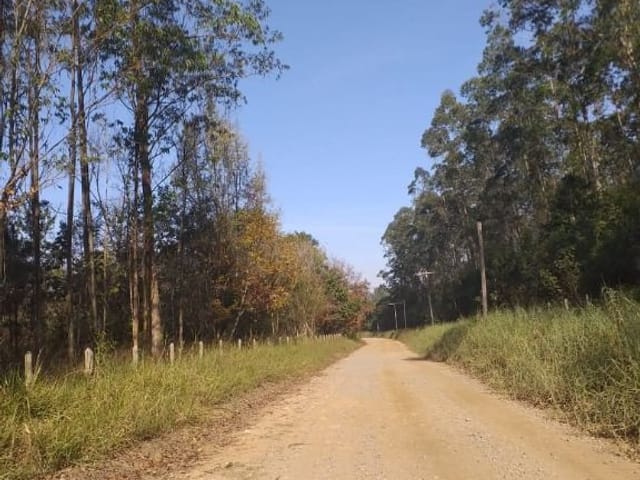 Sítio com 12000m² 4 quartos e 4 banheiros, à venda, no bairro Chácara Pavoeiro em Cotia