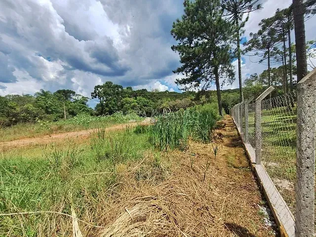 Sítio à venda, no bairro São Dimas em Colombo