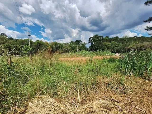 Sítio à venda, no bairro São Dimas em Colombo