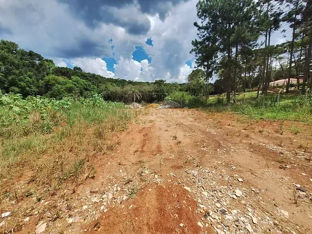 Sítio à venda, no bairro São Dimas em Colombo